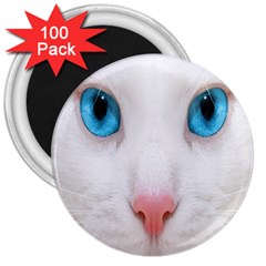 Beautiful White Face Cat Animals Blue Eye 3  Magnets (100 Pack)