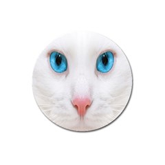 Beautiful White Face Cat Animals Blue Eye Magnet 3  (round)