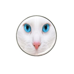 Beautiful White Face Cat Animals Blue Eye Hat Clip Ball Marker