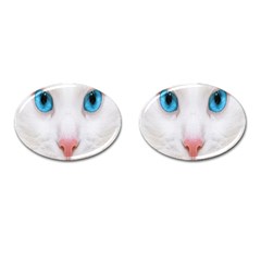 Beautiful White Face Cat Animals Blue Eye Cufflinks (oval)