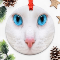 Beautiful White Face Cat Animals Blue Eye Round Ornament (two Sides) by Mariart