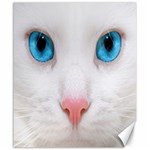 Beautiful White Face Cat Animals Blue Eye Canvas 20  x 24   19.57 x23.15  Canvas - 1