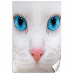 Beautiful White Face Cat Animals Blue Eye Canvas 20  X 30  