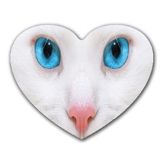 Beautiful White Face Cat Animals Blue Eye Heart Mousepads