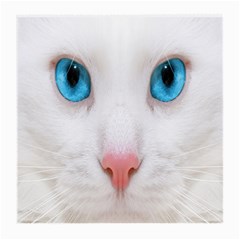 Beautiful White Face Cat Animals Blue Eye Medium Glasses Cloth by Mariart