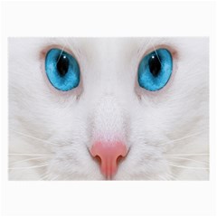 Beautiful White Face Cat Animals Blue Eye Large Glasses Cloth