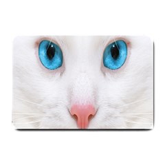 Beautiful White Face Cat Animals Blue Eye Small Doormat 