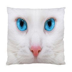 Beautiful White Face Cat Animals Blue Eye Standard Cushion Case (one Side) by Mariart