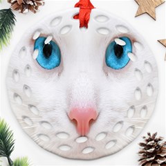 Beautiful White Face Cat Animals Blue Eye Ornament (round Filigree) by Mariart