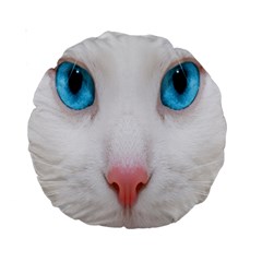 Beautiful White Face Cat Animals Blue Eye Standard 15  Premium Round Cushions