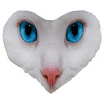 Beautiful White Face Cat Animals Blue Eye Large 19  Premium Heart Shape Cushions Back