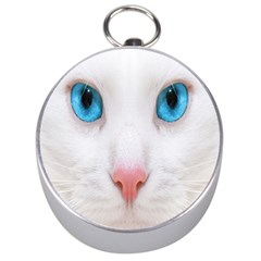 Beautiful White Face Cat Animals Blue Eye Silver Compasses