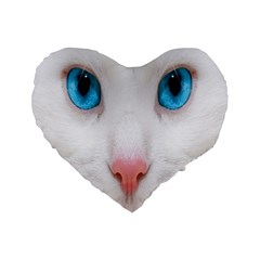 Beautiful White Face Cat Animals Blue Eye Standard 16  Premium Flano Heart Shape Cushions