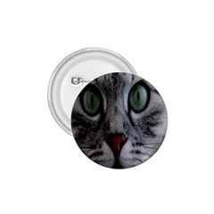 Cat Face Eyes Gray Fluffy Cute Animals 1 75  Buttons