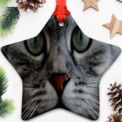 Cat Face Eyes Gray Fluffy Cute Animals Ornament (star)