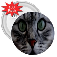 Cat Face Eyes Gray Fluffy Cute Animals 3  Buttons (100 Pack) 