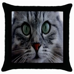 Cat Face Eyes Gray Fluffy Cute Animals Throw Pillow Case (black) by Mariart