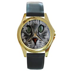 Cat Face Eyes Gray Fluffy Cute Animals Round Gold Metal Watch