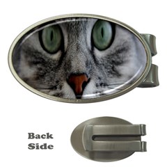 Cat Face Eyes Gray Fluffy Cute Animals Money Clips (oval) 