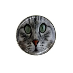 Cat Face Eyes Gray Fluffy Cute Animals Hat Clip Ball Marker