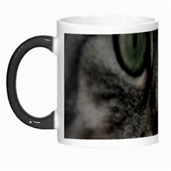 Cat Face Eyes Gray Fluffy Cute Animals Morph Mugs by Mariart