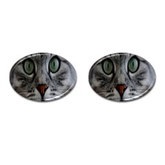 Cat Face Eyes Gray Fluffy Cute Animals Cufflinks (oval)