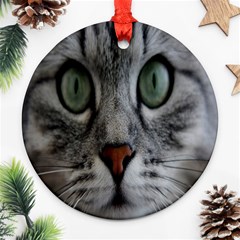 Cat Face Eyes Gray Fluffy Cute Animals Round Ornament (two Sides) by Mariart