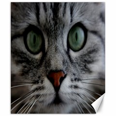 Cat Face Eyes Gray Fluffy Cute Animals Canvas 20  X 24   by Mariart