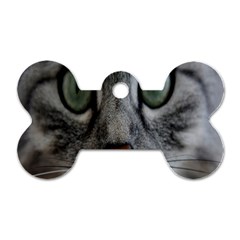 Cat Face Eyes Gray Fluffy Cute Animals Dog Tag Bone (one Side)