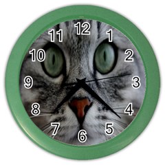 Cat Face Eyes Gray Fluffy Cute Animals Color Wall Clocks by Mariart