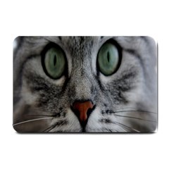 Cat Face Eyes Gray Fluffy Cute Animals Small Doormat 