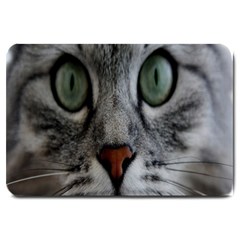 Cat Face Eyes Gray Fluffy Cute Animals Large Doormat  by Mariart