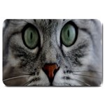 Cat Face Eyes Gray Fluffy Cute Animals Large Doormat  30 x20  Door Mat