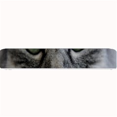 Cat Face Eyes Gray Fluffy Cute Animals Small Bar Mats