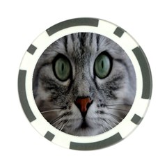 Cat Face Eyes Gray Fluffy Cute Animals Poker Chip Card Guard