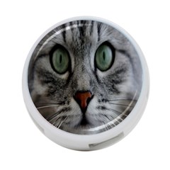 Cat Face Eyes Gray Fluffy Cute Animals 4-port Usb Hub (one Side)