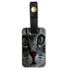 Cat Face Eyes Gray Fluffy Cute Animals Luggage Tags (one Side) 