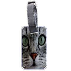 Cat Face Eyes Gray Fluffy Cute Animals Luggage Tags (two Sides)