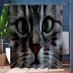 Cat Face Eyes Gray Fluffy Cute Animals Shower Curtain 60  X 72  (medium) 