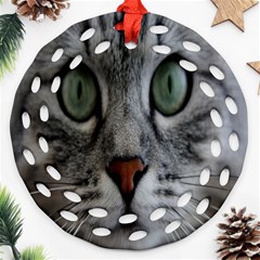 Cat Face Eyes Gray Fluffy Cute Animals Round Filigree Ornament (two Sides) by Mariart