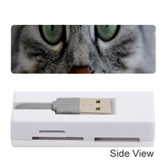 Cat Face Eyes Gray Fluffy Cute Animals Memory Card Reader (stick) 