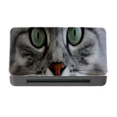 Cat Face Eyes Gray Fluffy Cute Animals Memory Card Reader With Cf