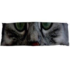 Cat Face Eyes Gray Fluffy Cute Animals Body Pillow Case Dakimakura (two Sides) by Mariart