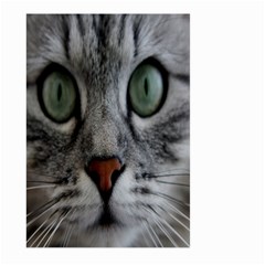 Cat Face Eyes Gray Fluffy Cute Animals Large Garden Flag (two Sides)