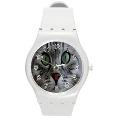 Cat Face Eyes Gray Fluffy Cute Animals Round Plastic Sport Watch (m)