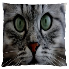 Cat Face Eyes Gray Fluffy Cute Animals Large Cushion Case (two Sides) by Mariart