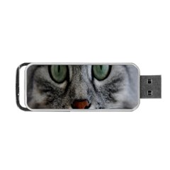 Cat Face Eyes Gray Fluffy Cute Animals Portable Usb Flash (two Sides) by Mariart