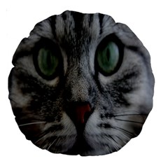 Cat Face Eyes Gray Fluffy Cute Animals Large 18  Premium Round Cushions by Mariart