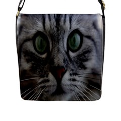 Cat Face Eyes Gray Fluffy Cute Animals Flap Messenger Bag (l)  by Mariart