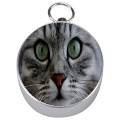 Cat Face Eyes Gray Fluffy Cute Animals Silver Compasses